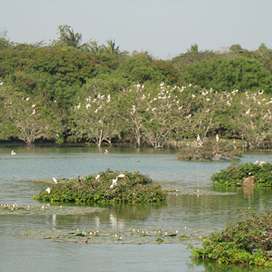 Chennai
