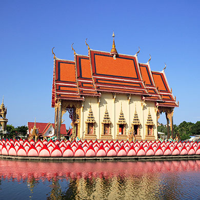 Flights to Surat Thani