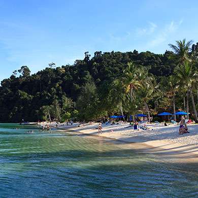 Trang